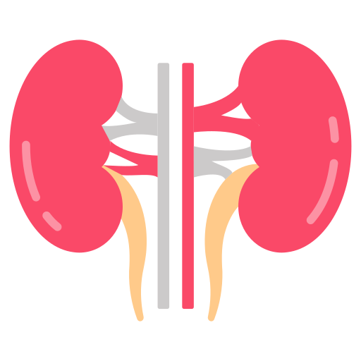Kidney Function Test (KFT / RFT)