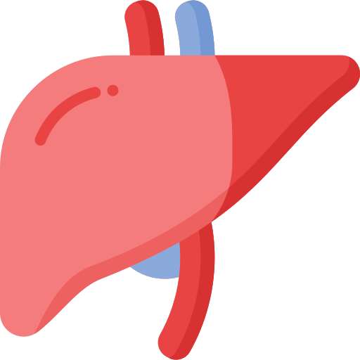 Liver Function Test (LFT)